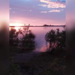Ромашкино - 4