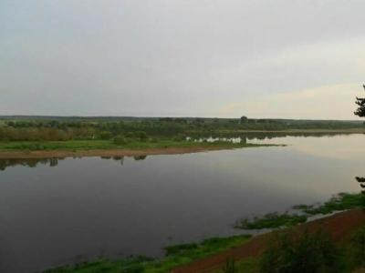 Лебедь - 6