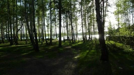 Райский уголок - 8