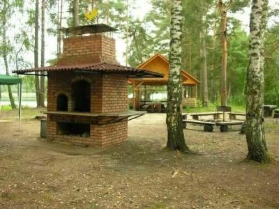 Чайка - 1