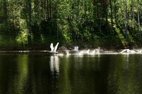 База отдыха и рыбалки Петровка - 10