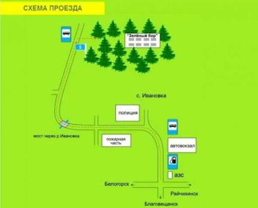 Зелёный бор - 7