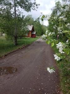 Турман - 18