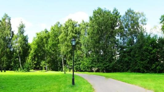 Куркино1 - 30