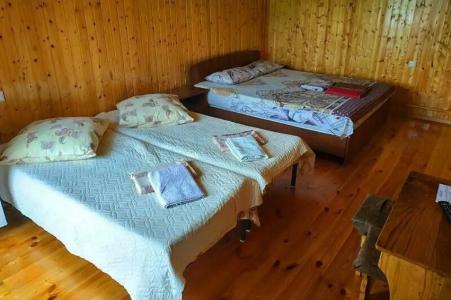 Золотая Рыбка - 49