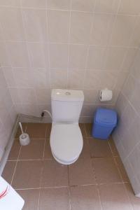 Атлантус - 26