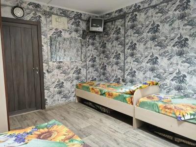 Подсолнух - 22