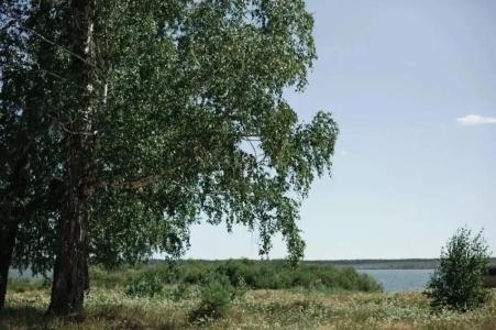 Морелеса - 201