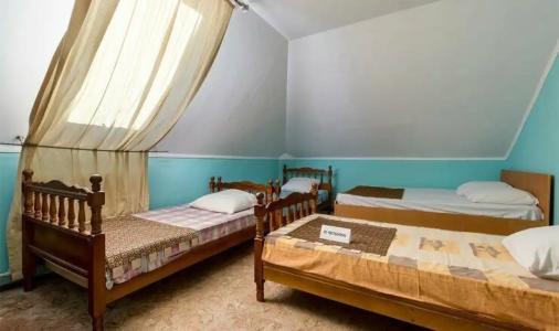 Атмосфера на Толстого - 80