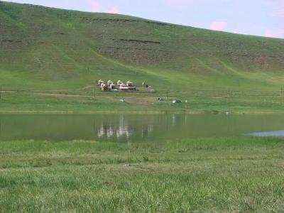 Живая вода - 1