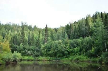 Карпоспат - 3