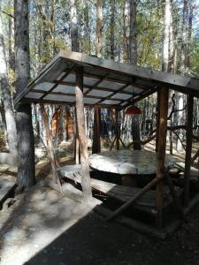 Лесная сказка - 2