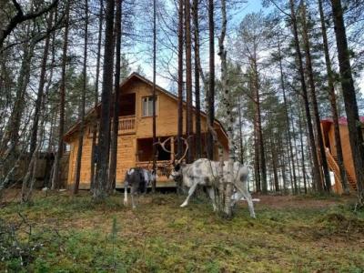 Каравелла - 219