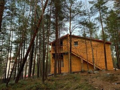 Каравелла - 220