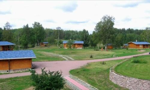 Сосны - 0