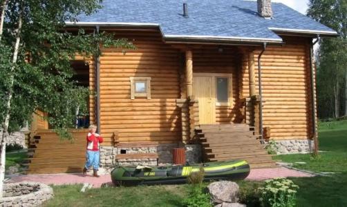 Сосны - 2