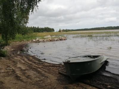 Айно - 2
