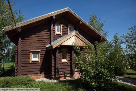 Подсолнух - 106