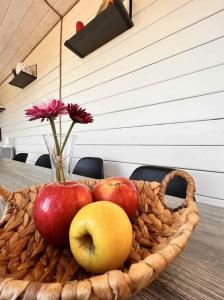 МиксХаус - 48