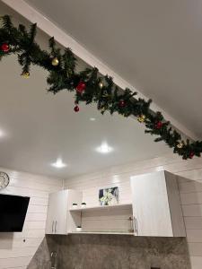 Ромашка - 299