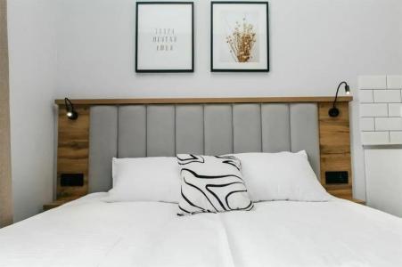 Академик - 24