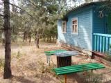 Деревянный двухместный дом № 9, 10