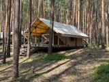 GLAMP* L