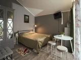 Дом-студия