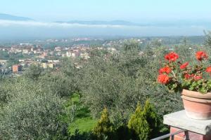 Podere Berrettino - Inh 39894, Реджелло