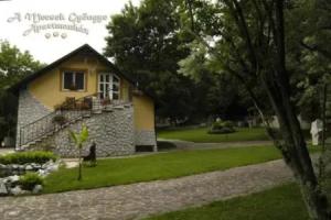 A Mecsek Gyöngye Apartmanhaz, Орфю