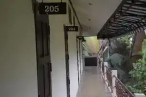 Хостелы Хостелы
