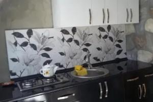 Tolo,s guest house, Боржоми