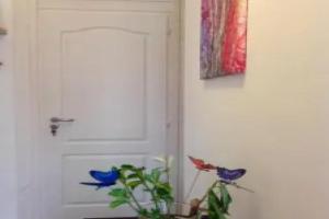 Dora Holiday House & Apartments, Кестхей