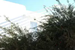 Mykonos Azure, Псару
