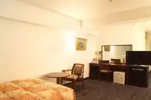 Hotel «Newplaza Kurume», Сага