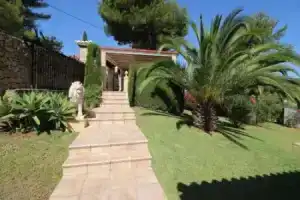 San Juan DH Studio, Дения
