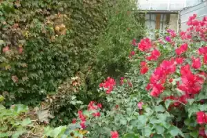 Rugantino Hotel Boutique, Буэнос-Айрес