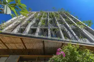 Daisy Boutique Hotel, Дананг