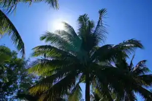 Отель «Beachwalk Koh Rong», Кох Ронг