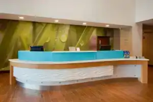 Апарт-отель «SpringHill Suites by Marriott Orlando Lake Buena Vista South», Киссимми