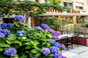 Отель «Adonis Ajaccio - Hôtel Albion», Аяччо