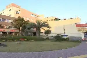 Business Hotel Kurogane Ryokan, Химедзи