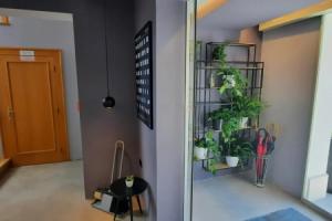 Hotel «Vila Lili», Ровинь