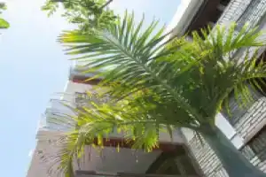 Apartamentos El Paseo, Плайя дель Инглес