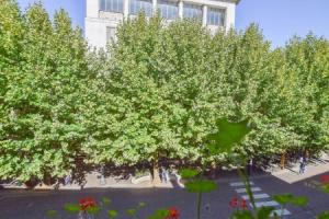 Awesome Apartment in Feltre With 3 Bedrooms and Wifi, Фельтре