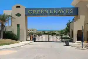 Отель «Green Leaves», Эль-Аламейн