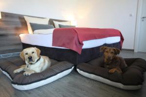 Hotel «Mein Bergblick», Ханенклее-Боксвизе