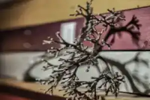 Апарт-отели Апарт-отели