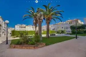 Apartment Fabulus, Торревьеха
