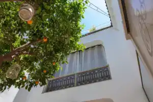 Отель «Riad Les Orangers D'alilia», Марракеш